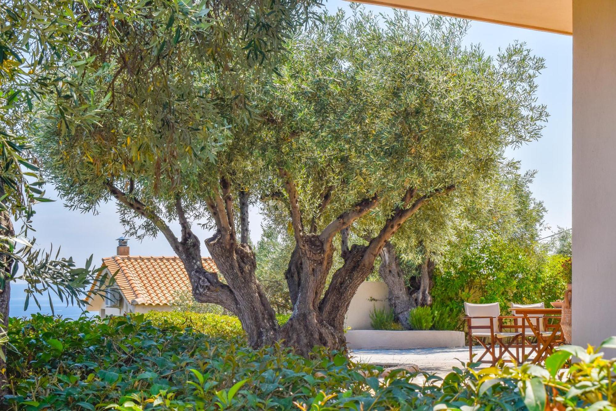 L&m Skiathos Apartament Kalivia (Skiathos)